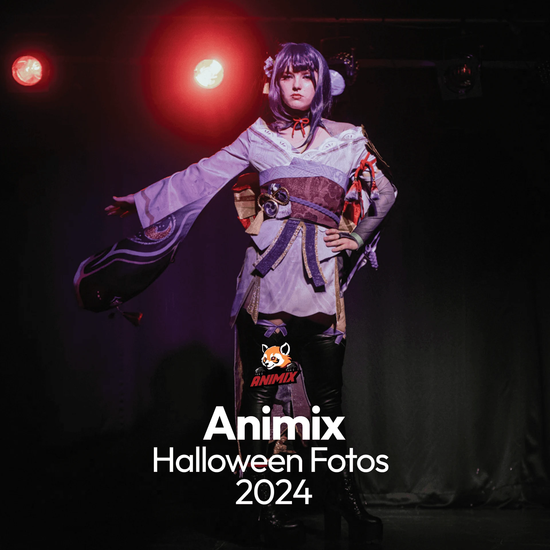 Animix Gaming Event