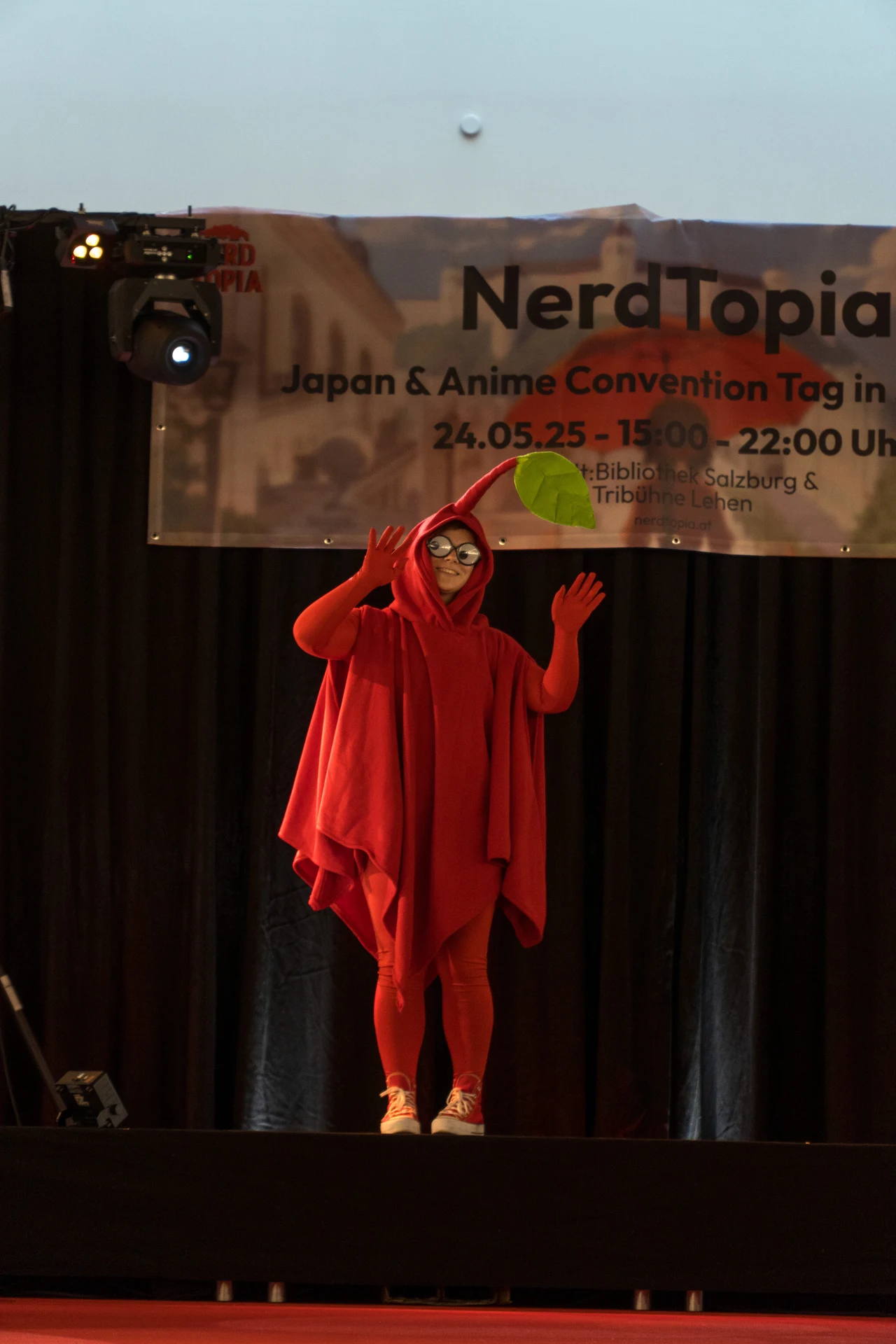 NERDTOPIA 2025 – Foto 10
